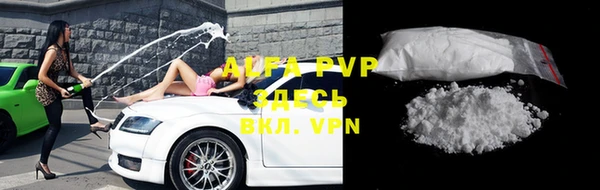 стаф Алексин