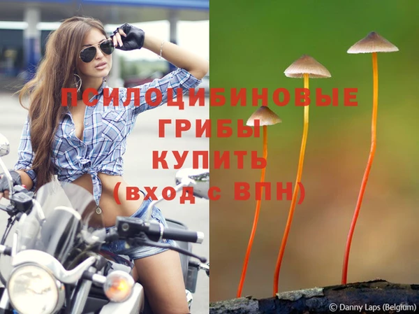 MDMA Premium VHQ Кинешма