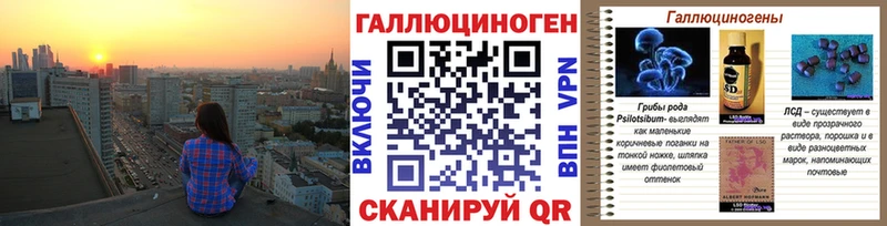 Галлюциногенные грибы Psilocybe  Гусь-Хрустальный 