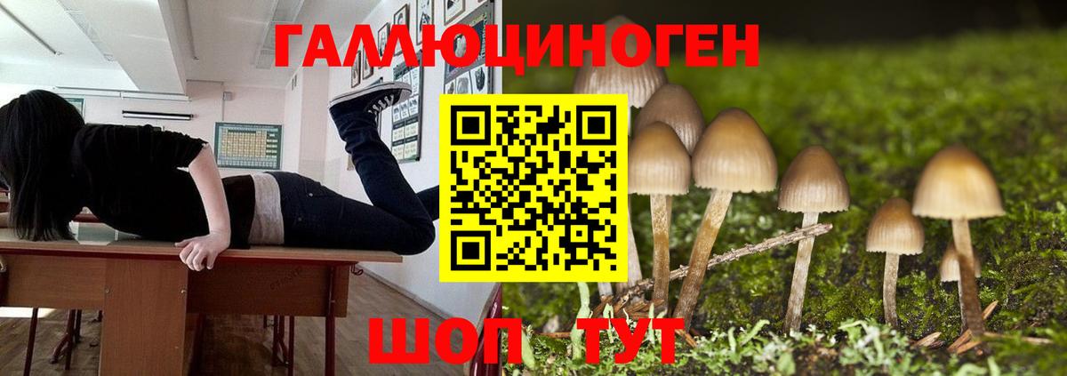 Галлюциногенные грибы MAGIC MUSHROOMS Гусь-Хрустальный