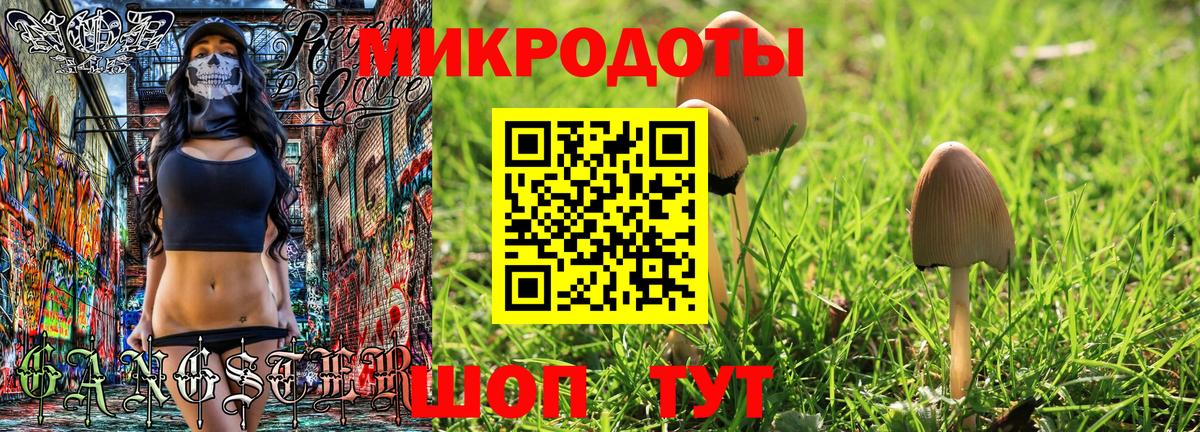 Псилоцибиновые грибы Cubensis  Вход с VPN  цена   Гусь-Хрустальный 